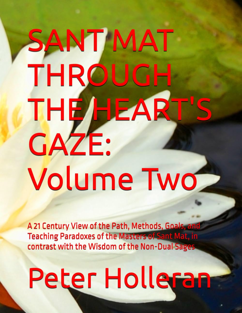 SANT MAT THROUGH THE HEART'S GAZE: Volume Two