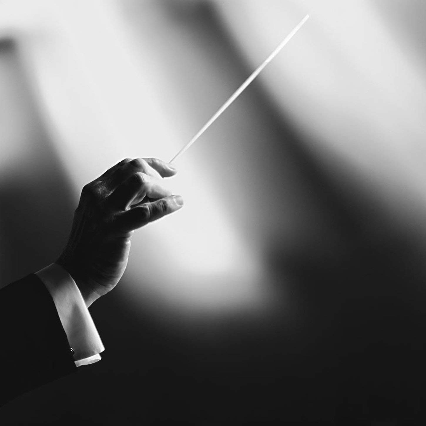 Baguettes de chef d'orchestre en imitation - Noir