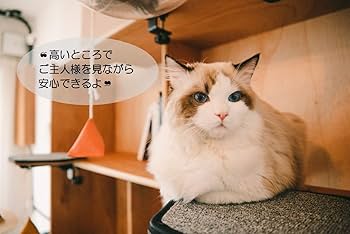 キャットステップ　3点セット ハンドメイド 楽天市場】キャットステップ 【3個セット】 壁 猫 足場 キャット
