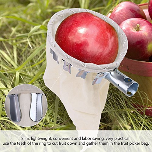 Haofy Raccogliere Frutta Fruit Picker Head, Fruit