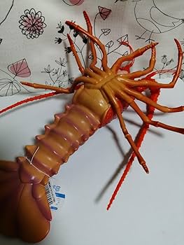 Amazon | 未使用 伊勢海老 ソフトフィギュア BIG 生き物 イセエビ 海鮮