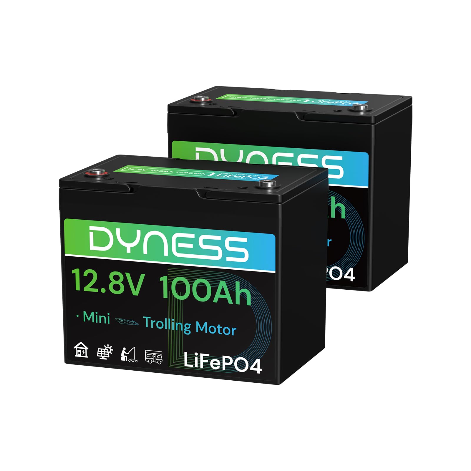 Dyness 12V 100Ah Mini LiFePO4 Battery 2 Pack Group 24, 12 Volt Deep Cycle Lithium Battery with 100A BMS, Low-Temp Protection & 10 Years Lifespan for