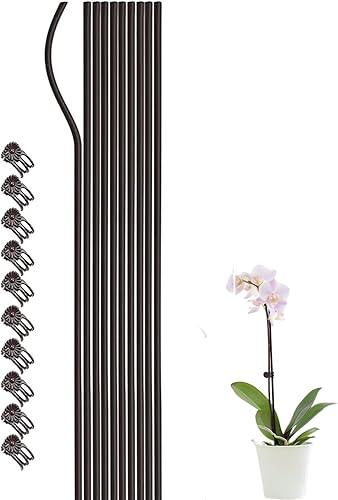 Miniatura 1 de 10 estacas de soporte para plantas con 10 clips de orquídeas para plantas, palos de soporte para orquídeas, estacas de jardín, soportes para plantas