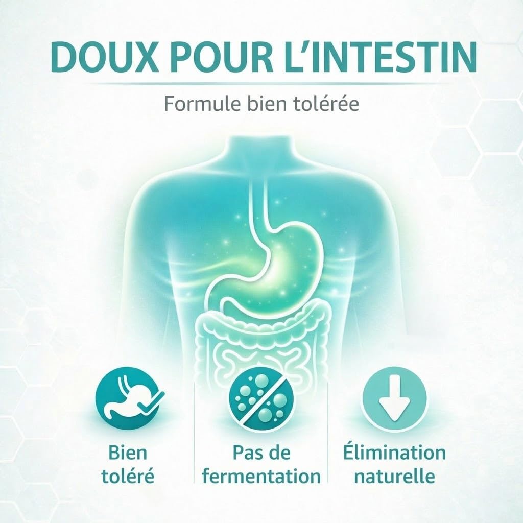 GiDeli Erythritol 5 kg de sucre cristallisé sans calories, substitut alimentaire comme alternative au sucre végétalien et respectueux des dents