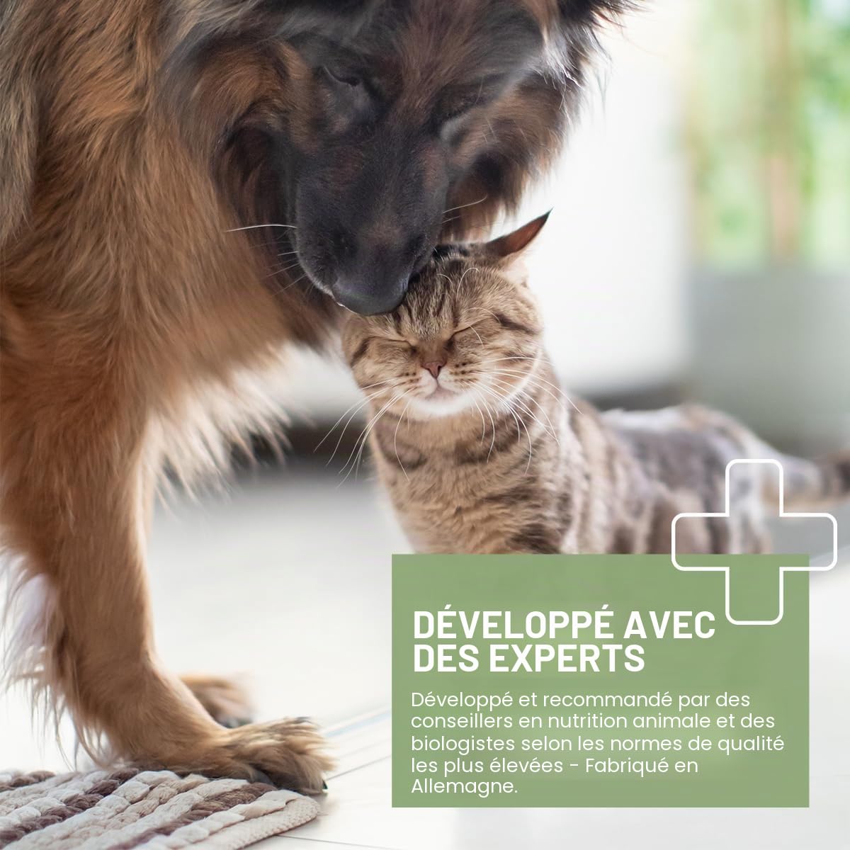 ReaVET Lot de 500 capsules d'huile de saumon pour chien - Omega 3 - Huile de saumon pour chien - Huile de poisson hautement dosée de qualité alimentaire