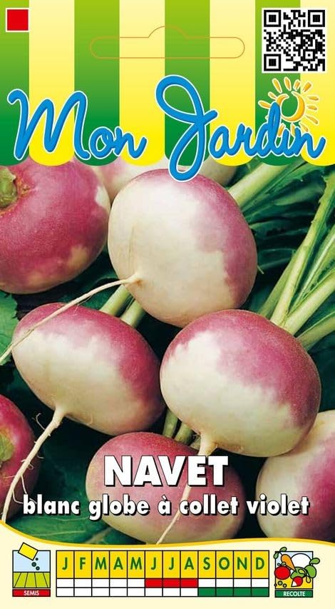 Sachet de graines de Navet blanc globe à collet violet 5 g - LES GRAINES BOCQUET