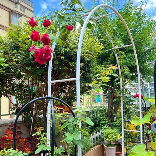 Arche de jardin pour plantes grimpantes cadre acier blanc 140 x 240 cm