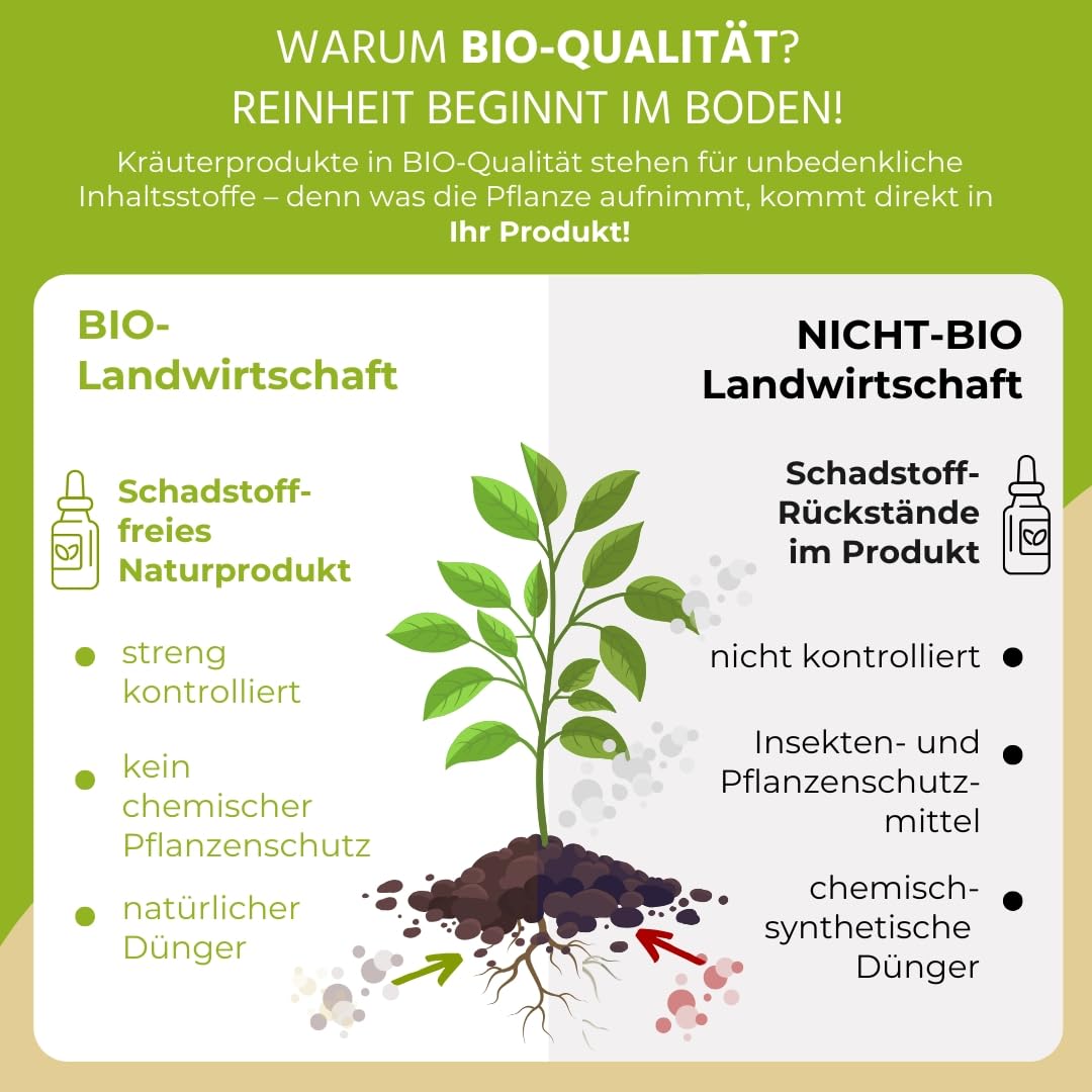 Auwald Salbei Tropfen BIO – 100% BIO Auszug, Extrakt, Tinktur – 100ml aus Österreich