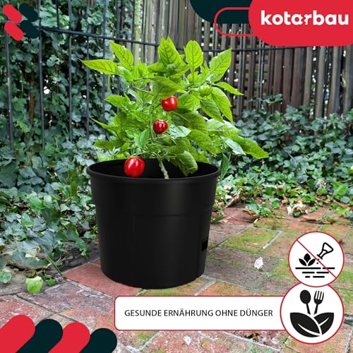 Tomatentopf Kotarbau Tomatenturm 115 cm mit Rankhilfe für Tomaten