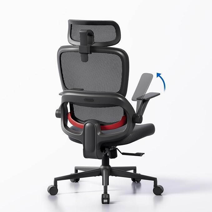 SIHOO B100 SE Ergonomic Office Chair