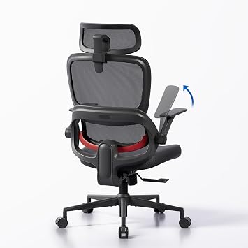 SIHOO B100-SE Ergonomic Office Chair with Lumbar Support, Mesh Desk Chair for Home Office, Adjustable Headrest & 2D Armrests, Swivel Seat
