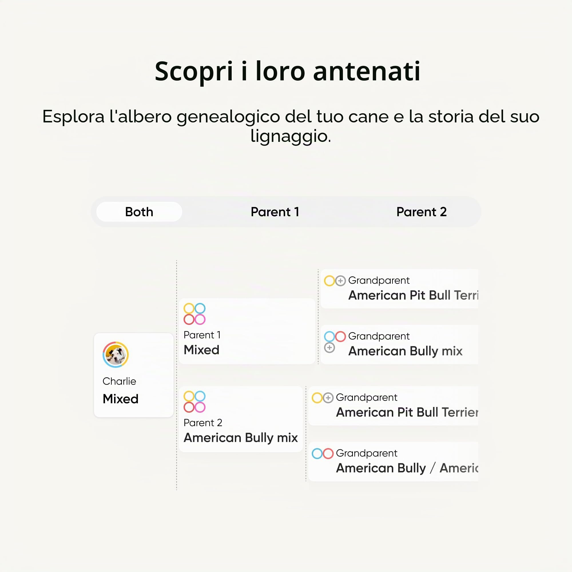 Embark - Test del DNA per cane, kit di identificazione della razza