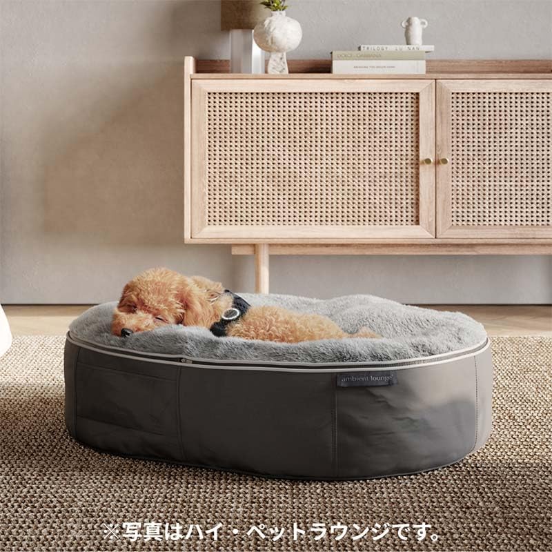 Amazon | ペットラウンジ 日本製 洗える 撥水 低反発クッション 犬猫