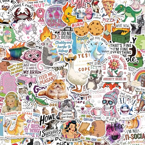 300 Pcs Funny Stickers for Adults Waterproof Hard hat Stickers Vinyl Sarcastic Meme Decals for Bumpers Kindle Journal Scrapbook Skateboard Luggage Featuring No Repeats