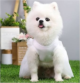Amazon | 可愛い ペット服 犬服 ワンピース 犬 ウエディングドレス