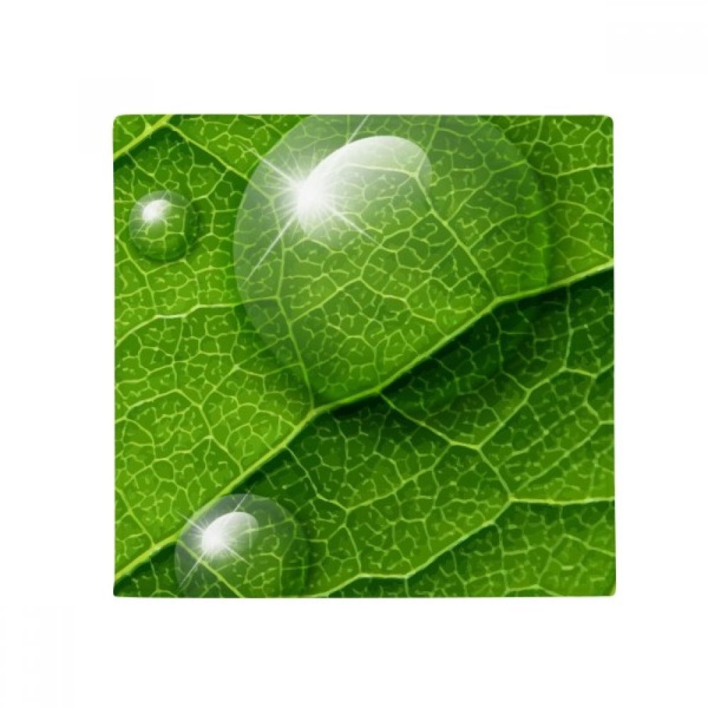 Cadeau tapis plante verte 50x50 cm motif frais déco pour amoureux des animaux