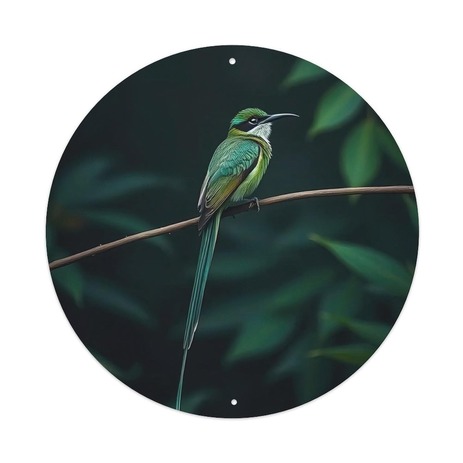 Cwbufd Vintage Style Animal Vibrant Bee-Eater With Long Tail In Lush Foliage Vintage Metal Tin Sign Plaque Wall Decor For Cafe, Club Bar, Office, Garden Metal Poster 8X8inch