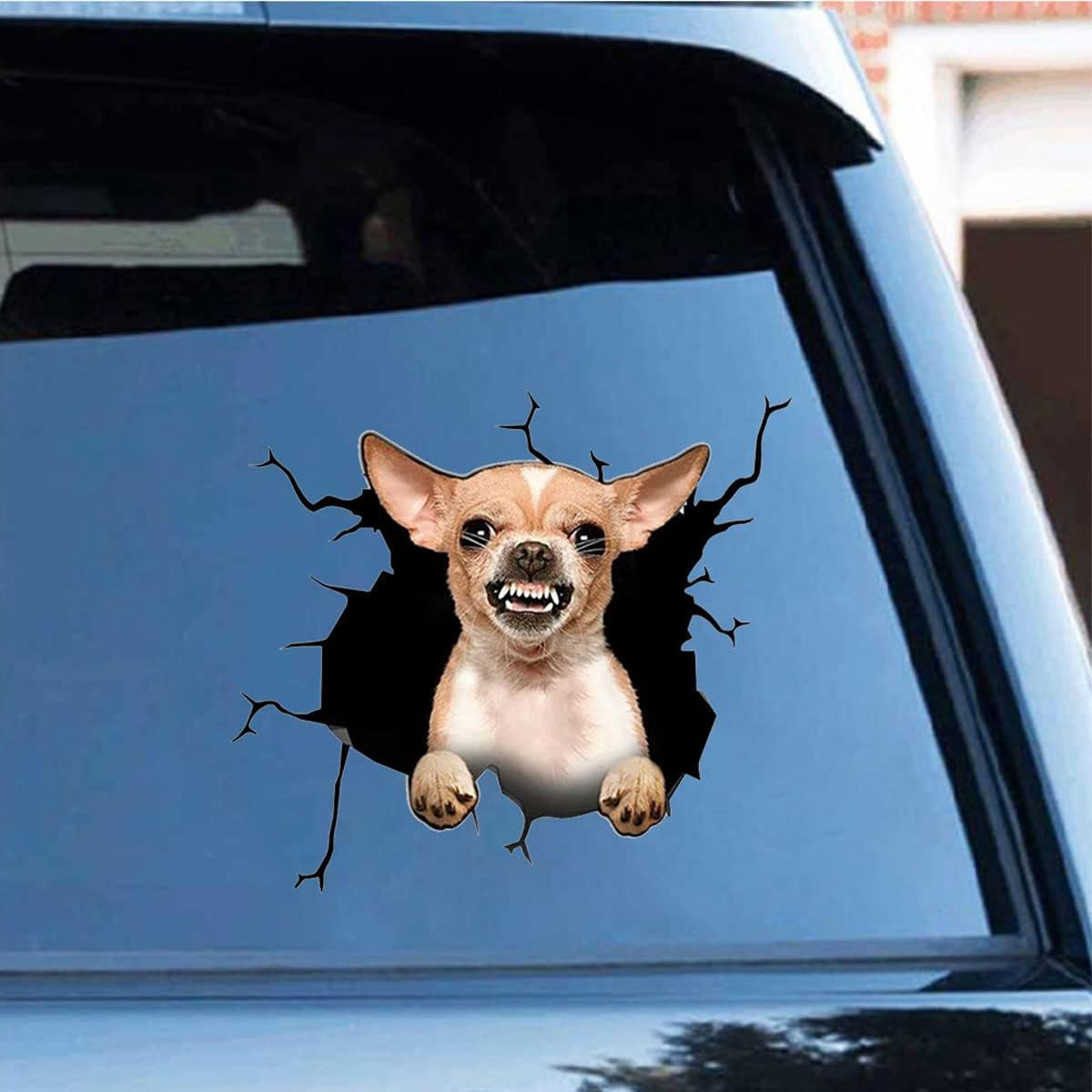 Autocollant 3D craquelé Chihuahua en vinyle amovible résistant extérieur intérieur
