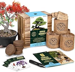 Bonsai Tree Seed Starter Kit - Mini Bonsai Plant Growing Kit, 4 Types of Seeds, Potting Soil, Pots, Pruning Shears Scissor Tool, Plant Markers, Wood Gift Box, Indoor Garden Gardening Gifts Ideas