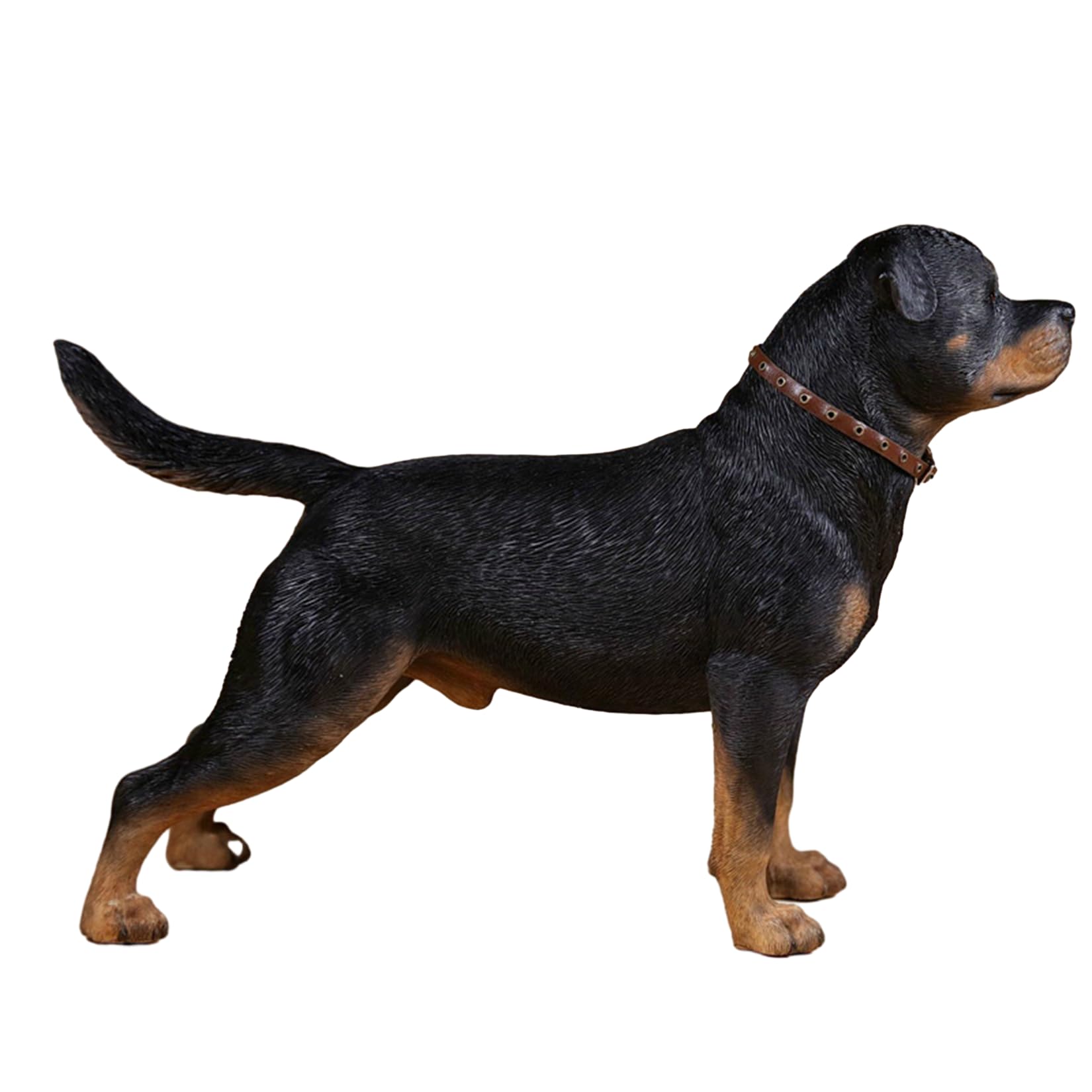 Amazon.co.jp: Mr.Z 1/6 サイズ ロットワイラー ロッティー 犬 動物