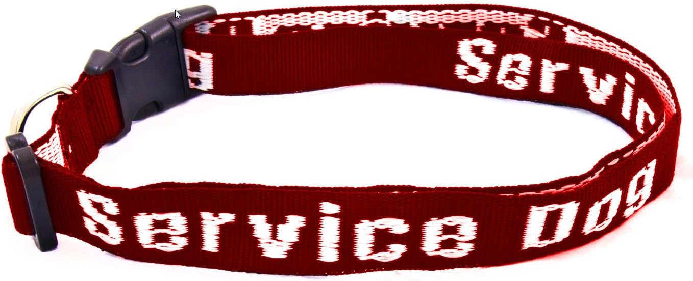 barkOutfitters Service Dog Collar - Large (Red, Large)