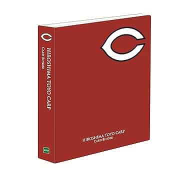 ❗️新品未開封❗️トレーディング式カード型写真集　デカ写　エースファイル　T1 テージー トレーディングカード アルバム クリア TCー1120ー17 1