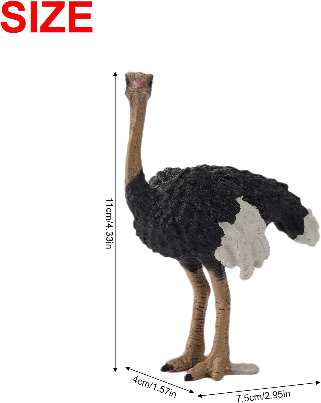 Andux Realistic Animals Figures Toys Marine Life Wild Jungle Learning Educational Playset FZDW-03 (Ostrich) OX117-120