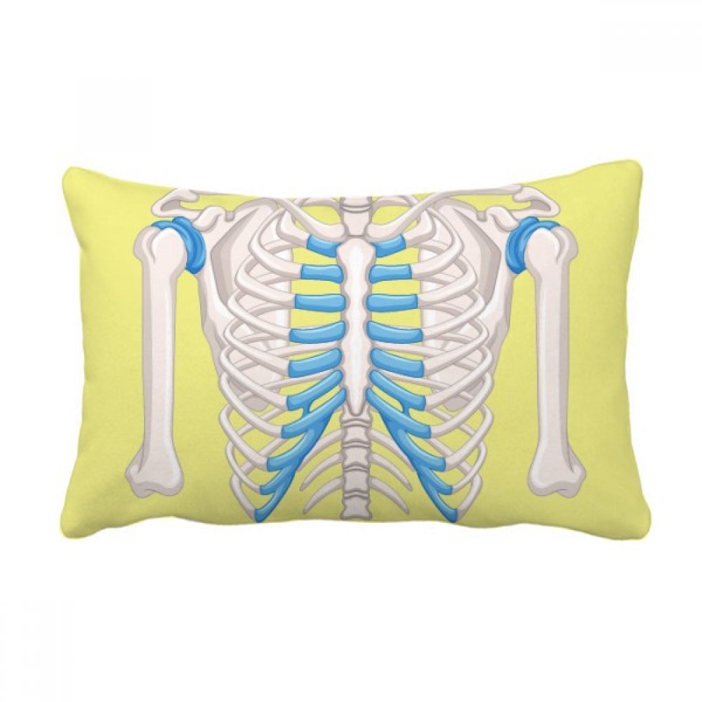 Coussin lombaire illustration médicale rib thoracique multicolore 16x24
