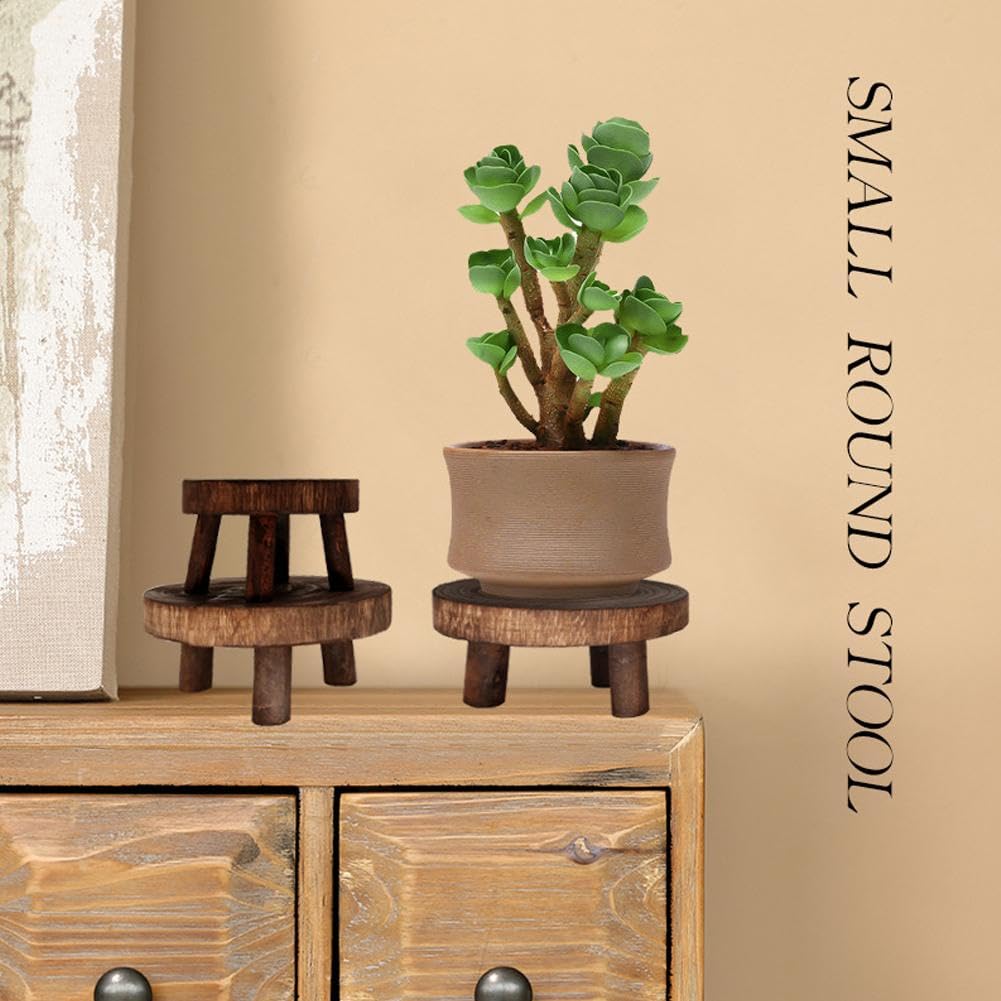 Mini Sgabello in Legno per Espositore per Piante in Vaso Succulente Bonsai Rack, Porta Vasi per Fiori in Legno, Supporto per Fioriere in Vaso