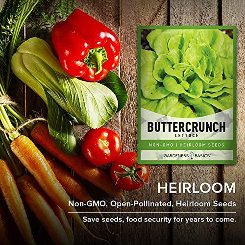 2000+ Buttercrunch Lettuce Seeds For Planting - Butterhead Boston Bibb Heirloom, Non-Gmo Vegetable Variety- 2 Grams Seeds Great For Spring, Summer, Winter Garden And Hydroponics By Gardeners Basics #TOP4