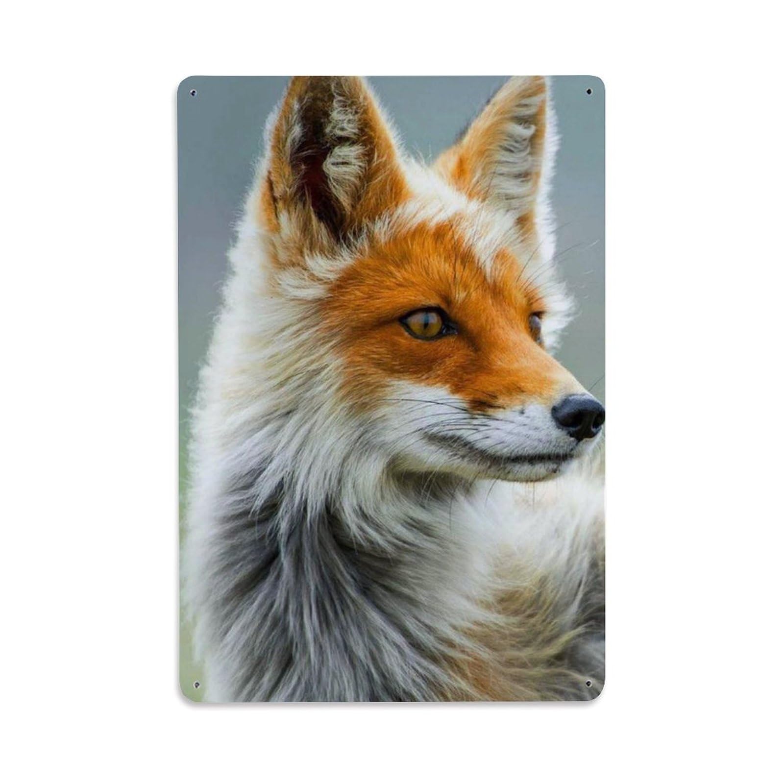 Wildlife Vintage Cute Red Fox Animal Close Up Nature Study Metal Tin Sign Plaque Wall Decor for Cafe, Man Cave, Club Bar, Office, Home Garden Round Metal Poster 8x12Inch
