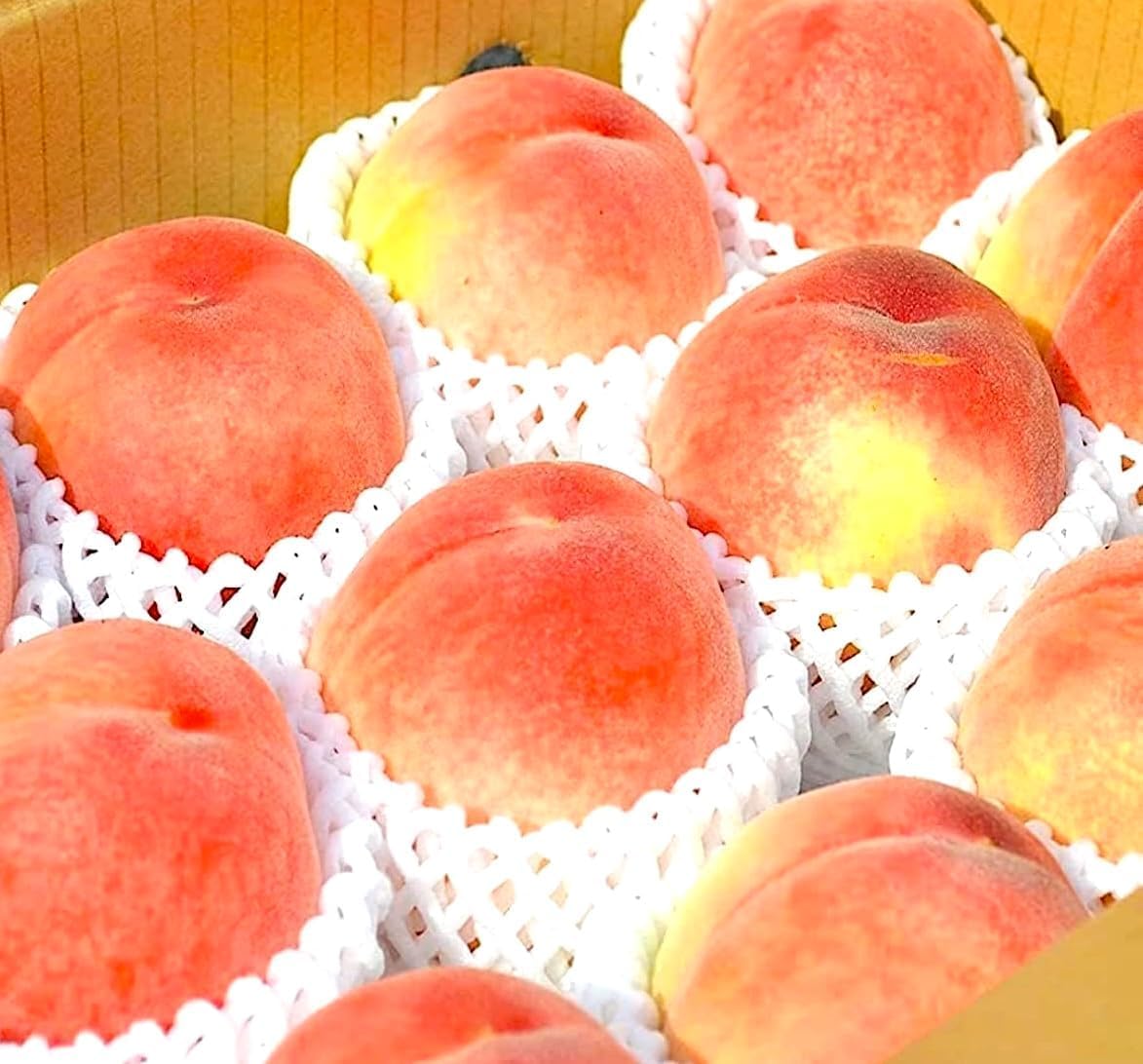 【糖度：16度の別世界】お試し ５-７玉 １.５kg 当社化粧箱「日本一の桃王国…