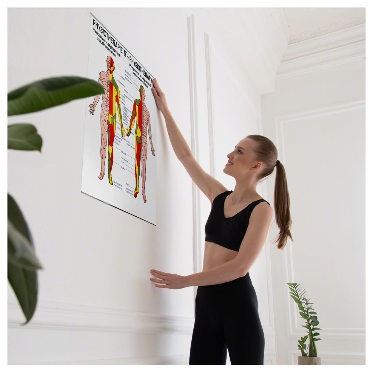 Rüdiger Hautinnervation Poster Anatomie 70x50 cm medizinische Lehrmittel