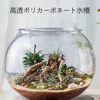 Amazon.co.jp: 金魚鉢丸型金魚鉢 水槽 高プラスチック透明