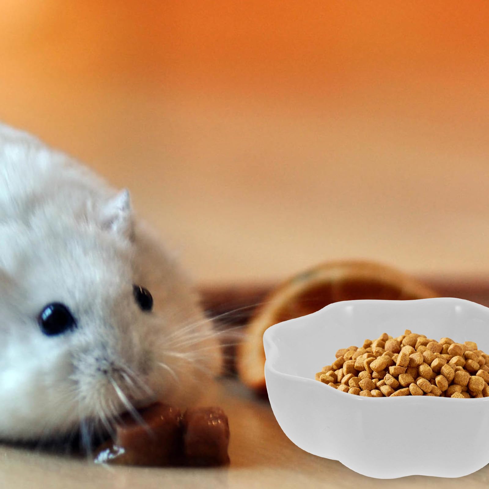 Happyyami Lot de 2 Gamelles en Céramique Blanche pour Hamster, Accessoires Solide pour Petits Animaux, Anti-Renversement, Matériau Céramique, pour Alimentation et Eau
