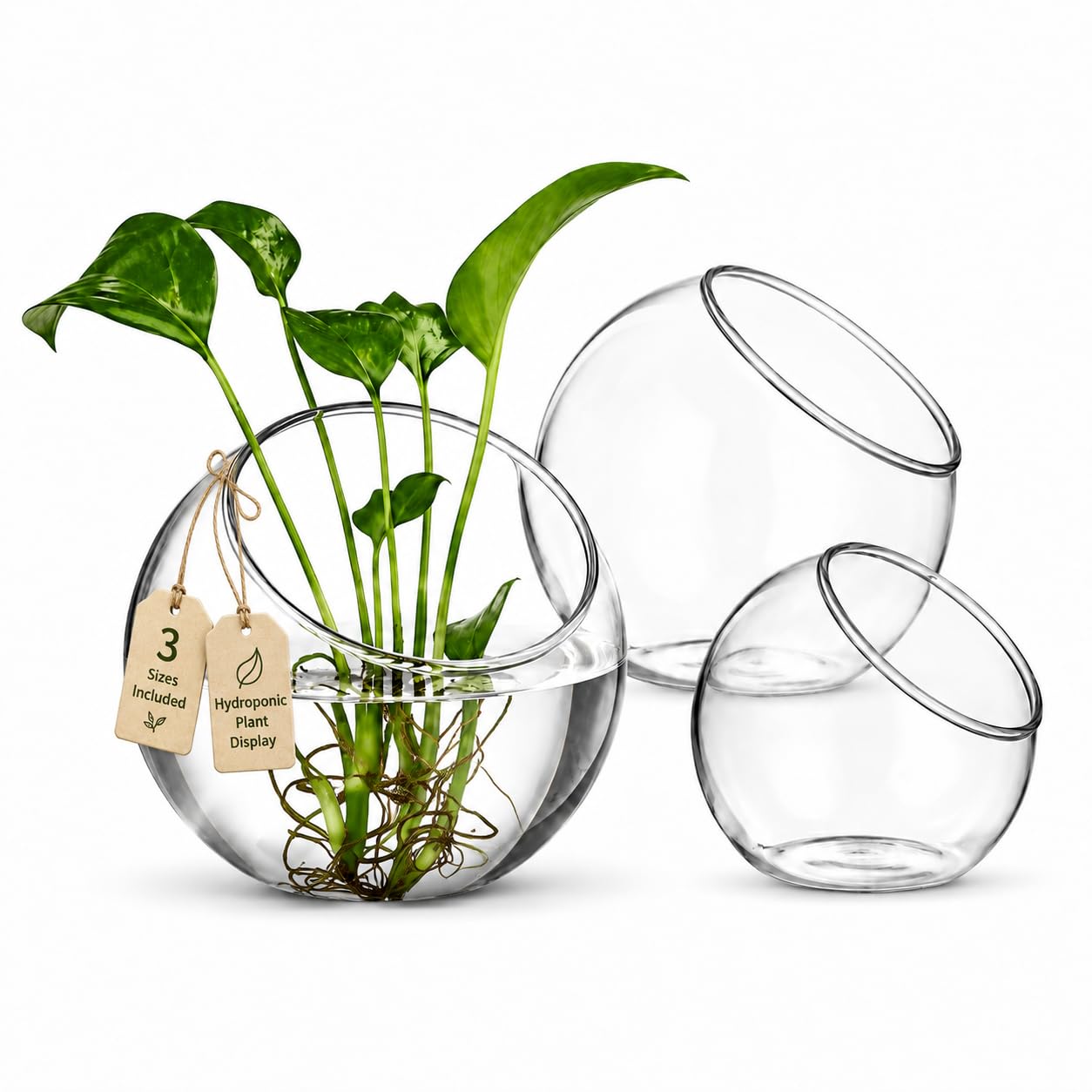 3 Pack Glass Terrarium Bowls for Air Plants, Clear Hydroponic Plant Propagation Vases with Wide Opening, Mini Indoor Garden Containers for Succulents, Pothos and Desk Decor