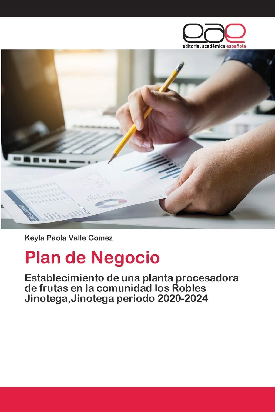 Plan de Negocio: Establecimiento de una planta procesadora de frutas en la comunidad los Robles Jinotega,Jinotega periodo 2020-2024