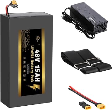 48V 18AH 20Ah 25Ah LiFePO4 Lithium B-attery Pack with 30A/40A BMS for 0-1200W Motor