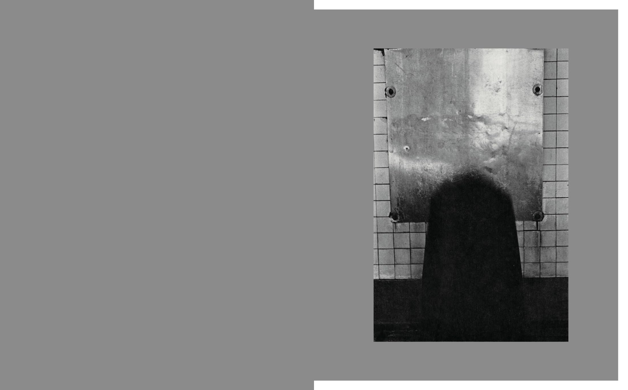Masahisa Fukase - Homo Ludens