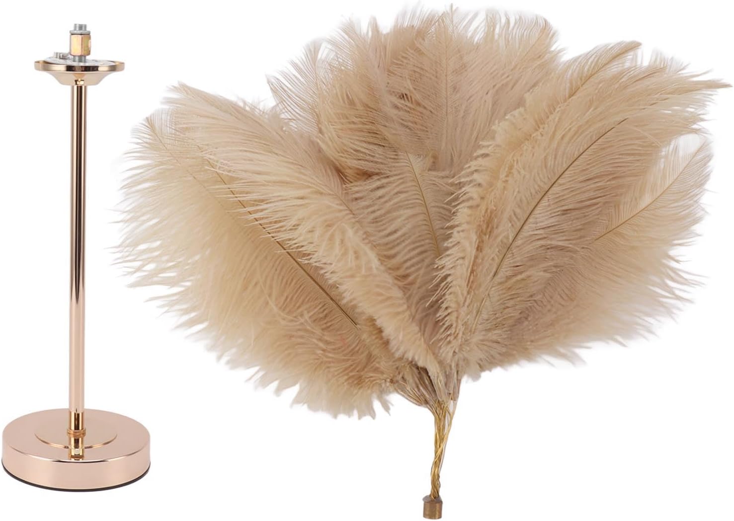 Ostrich Table Lamp, 30PCS Feathers 3 Color Dimming Cordless USB Rechargeable Touch Control Desk Night Light, Modern Decorative Bedside Lamp Bulb Included for Bedroom Living (Camel