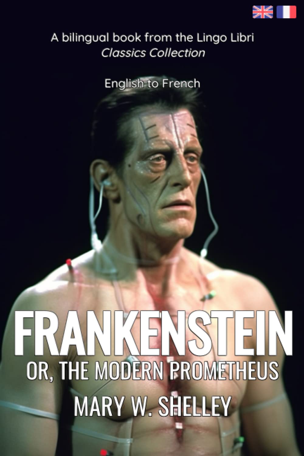 Frankenstein (Translated): English - French Bilingual Edition