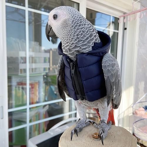 Bird Cloth Christmas Party Birthday Costume for Parrot Halloween Pet Birds Clothes Birds Cosplay Outfit Coat (Red,L)(Blue,2M)