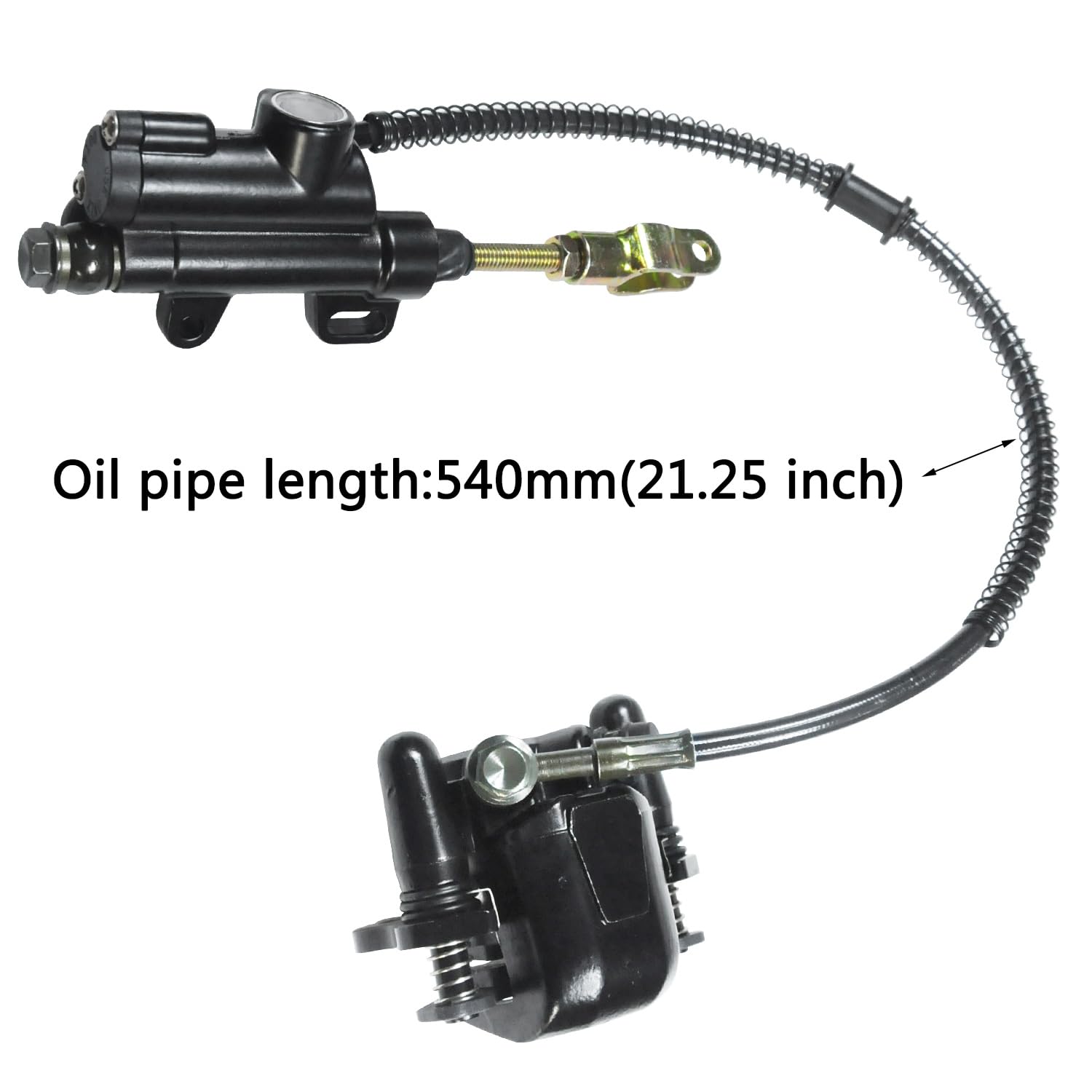 https://m.media-amazon.com/images/I/61ml96QPaUL.jpg