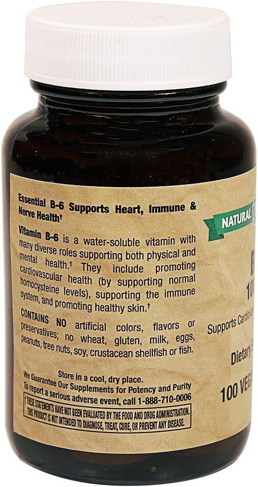 Natural Vitamin Co. - B-6 100 mg, Vitamin B6 (as pyridoxine HCI) 100 mg, 5,000% Daily Value, 250 Tablets, 8+ Months Supply, Gluten Free, Vegetarian, Vegan (250) : Health & Household