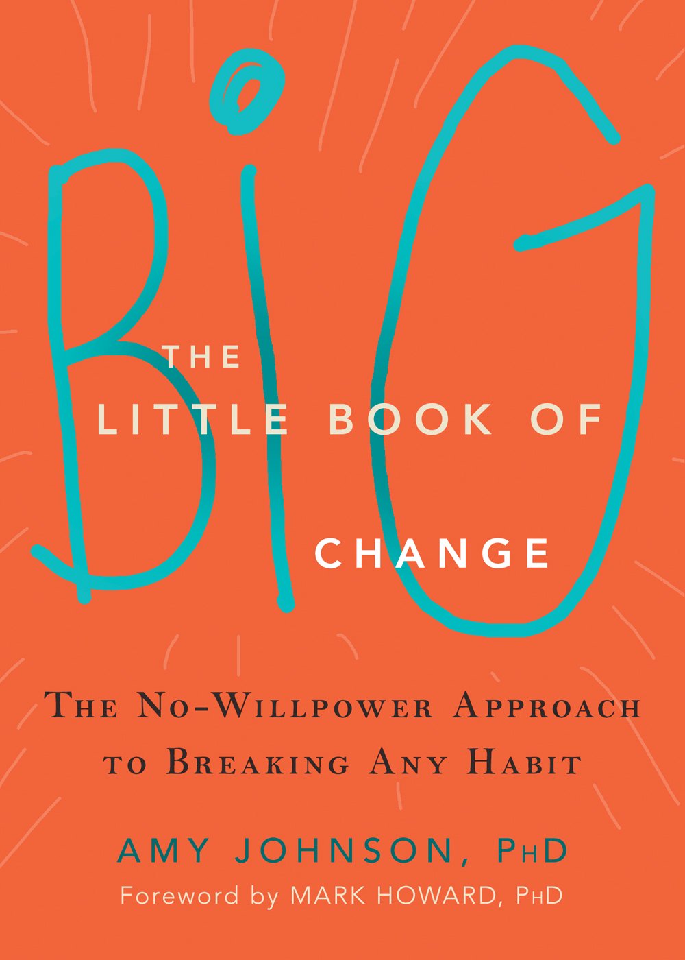 The Little Book of Big Change Amy Johnson Paperback Addiction Self Help