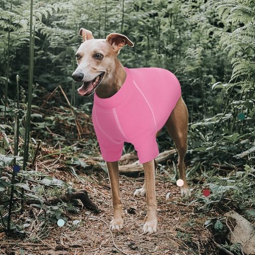 Pull pour gros chien en molleton doux pour les balades de Noël - 8