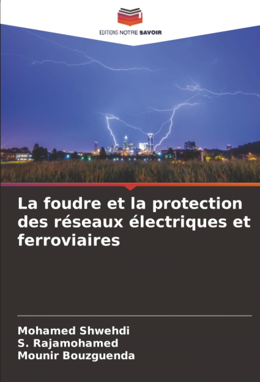 La foudre et la protection des réseaux électriques et ferroviaires