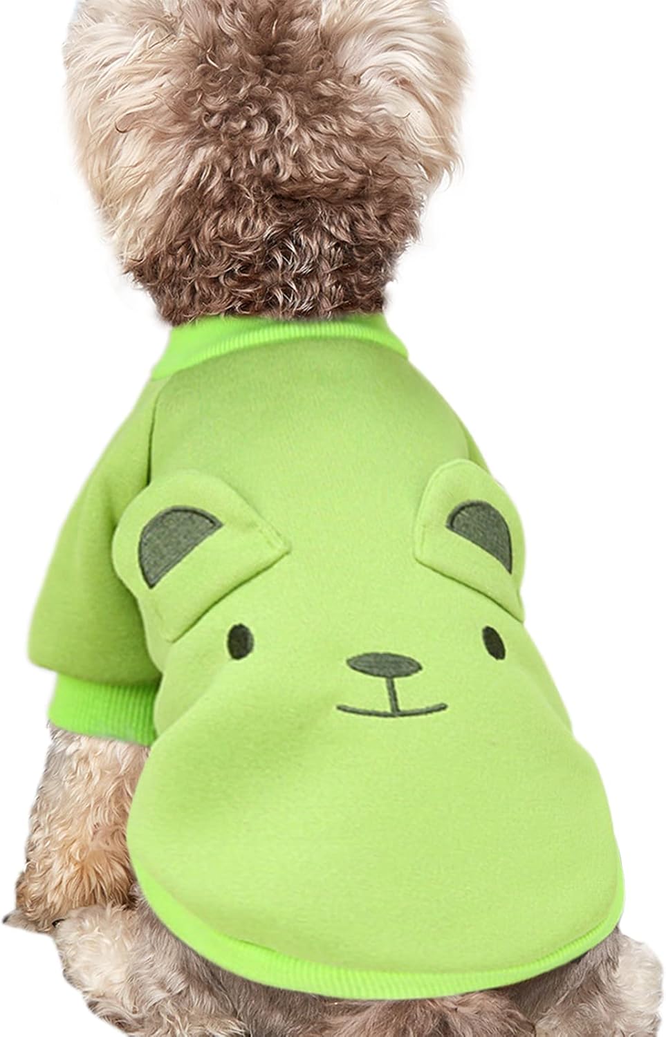 Cute Dog Clothes for Small Dogs Winter Sweater Warm Fleece Soft Pet Sweatshirt Print Cat Clothe, A01-Green, Small