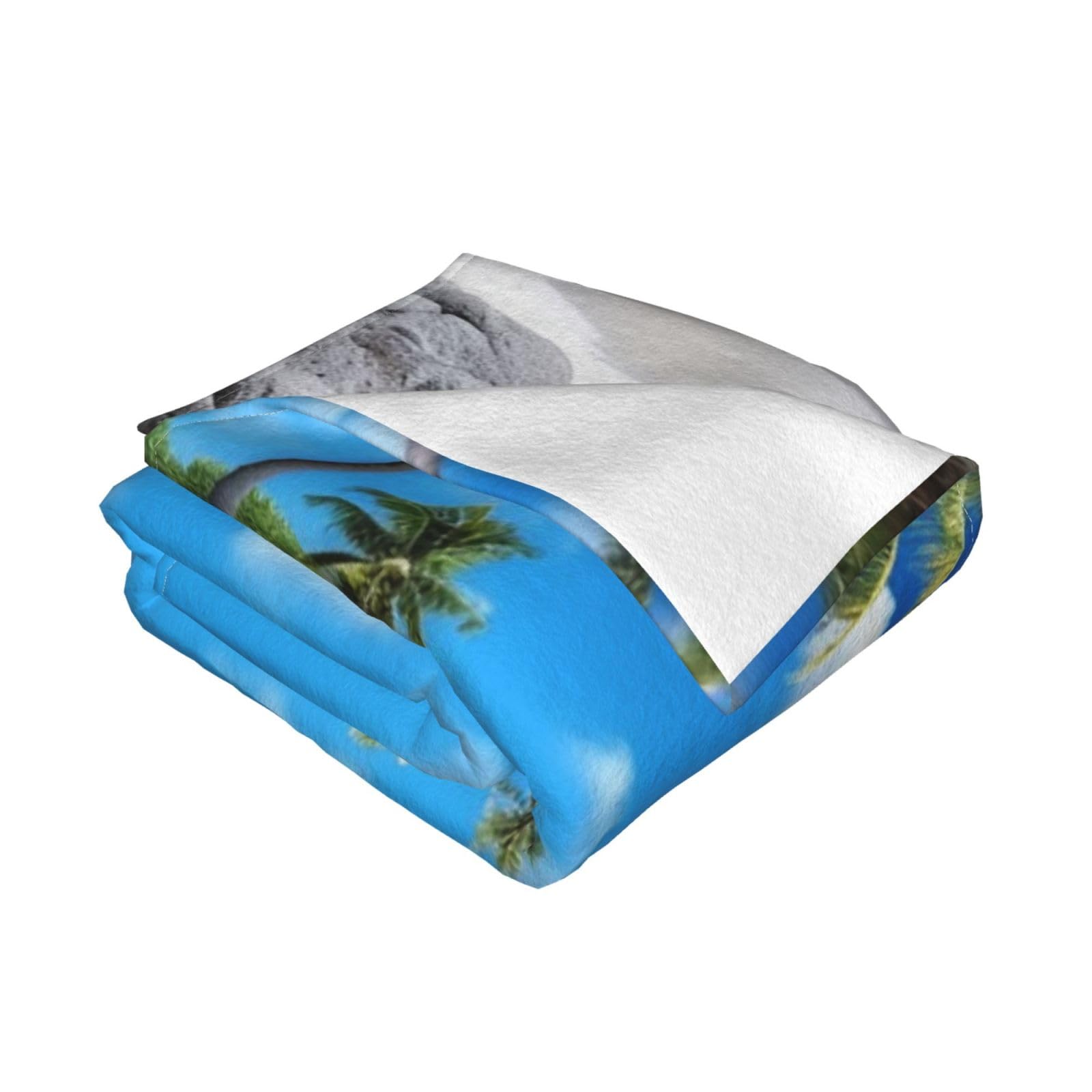 Ocean Beach Micro-Fleece-Decke – Ultraweich, 101,6x76,2 Cm, Für Sofa, Bett & Reisen, Waschbar