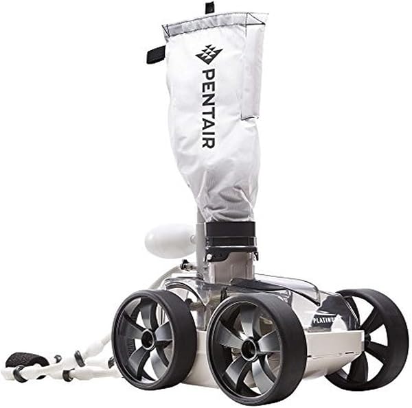 Pentair LL505PMG Kreepy Krauly Platinum Pressure-Side Inground Automatic Pool Cleaner, Gray